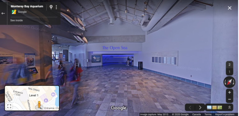 Monterey Bay Aquarium Virtual Tour: A Complete Guide