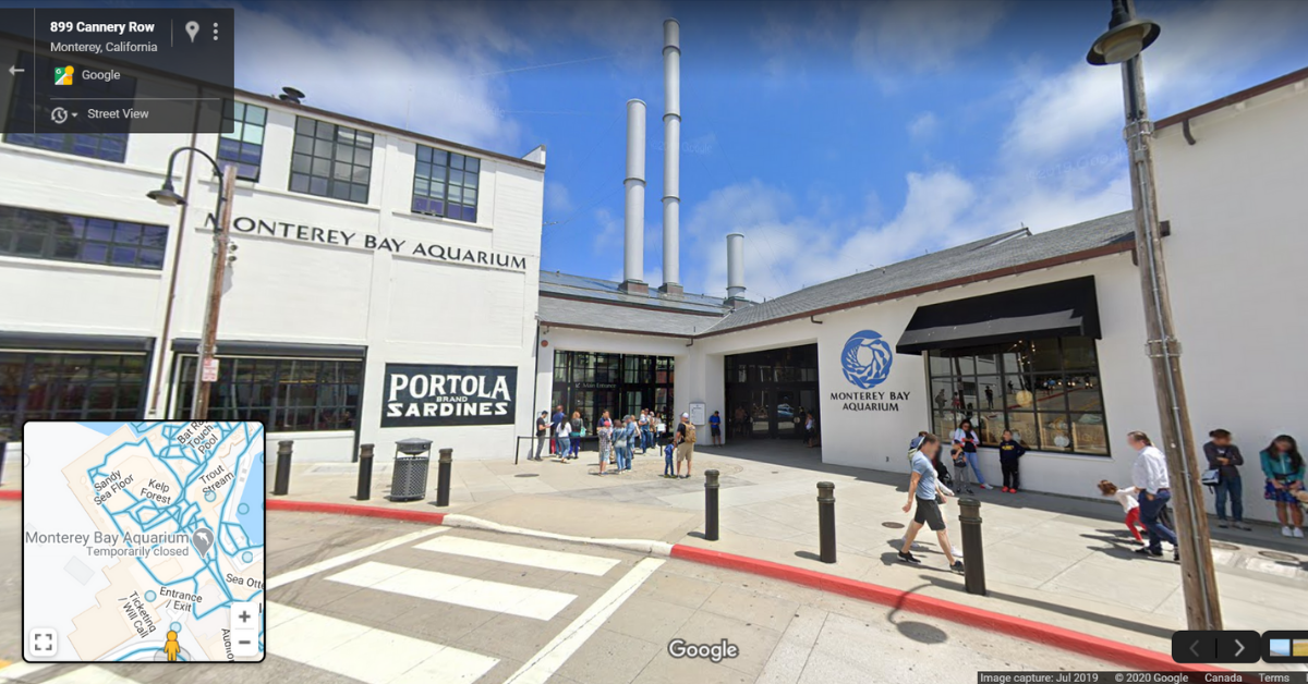 Monterey Bay Aquarium Virtual Tour: A Complete Guide