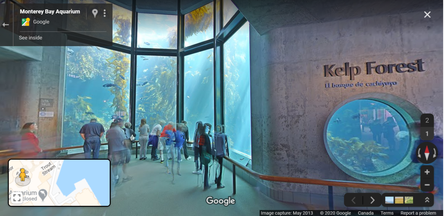 virtual tour of aquarium