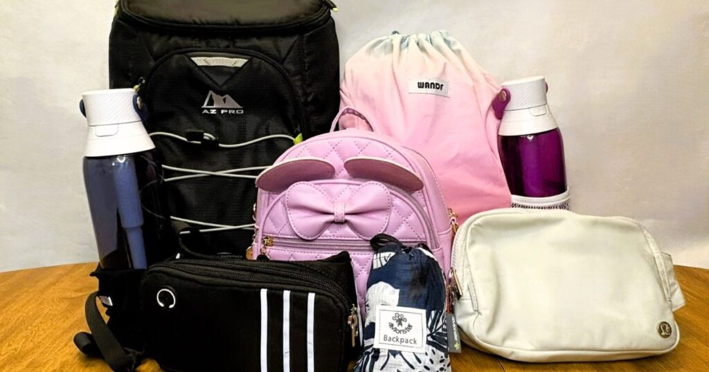 Best Bags to Bring to Disney