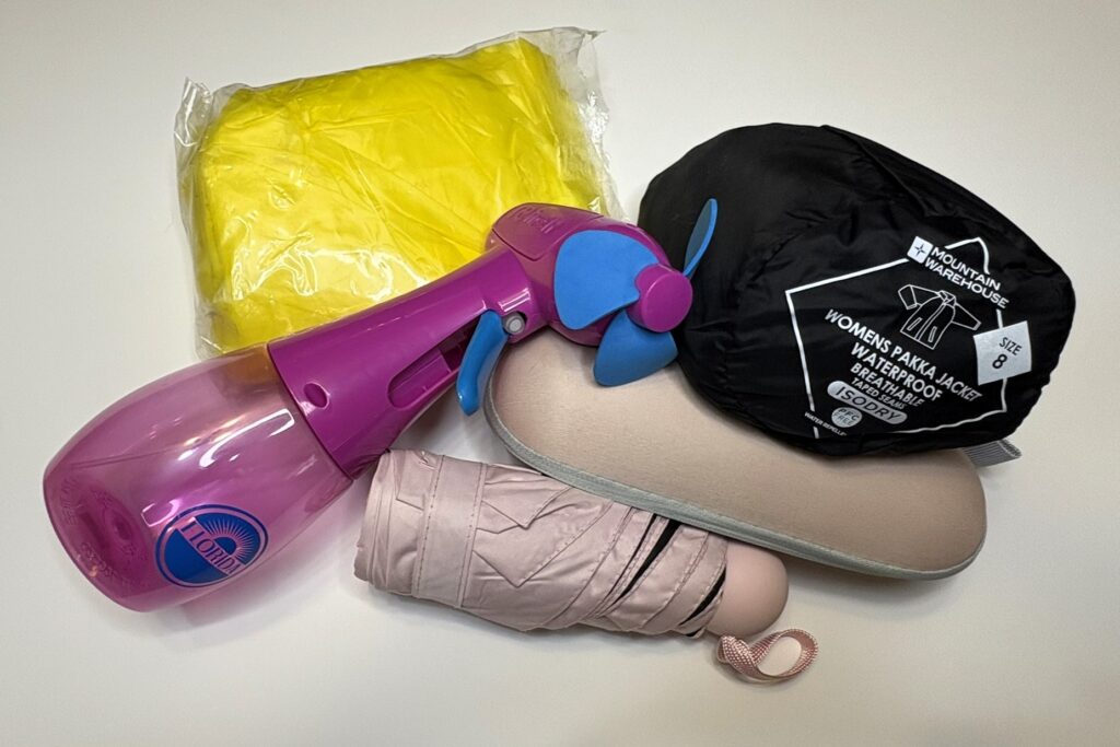 Disney park essentials