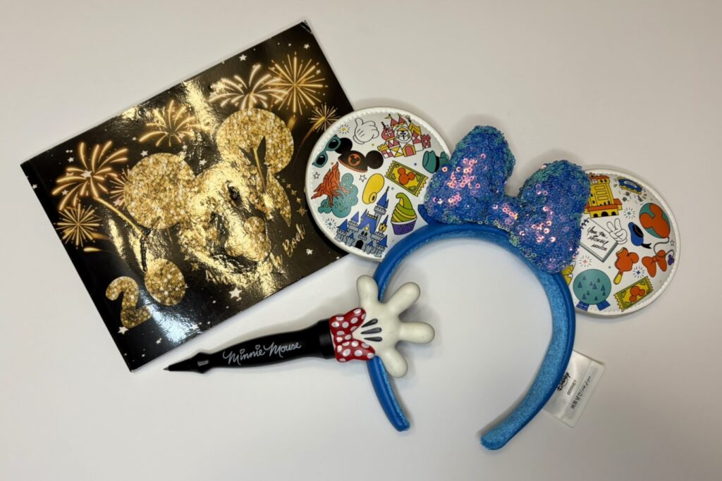 What to pack in backpack for Disney