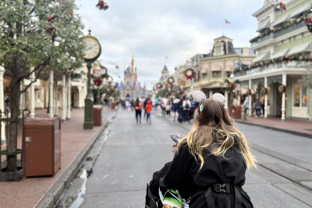 Is Disney DAS Worth it