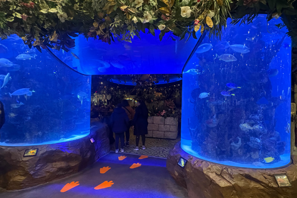 Gluten-Free Rainforest Café Auburn Hills Review