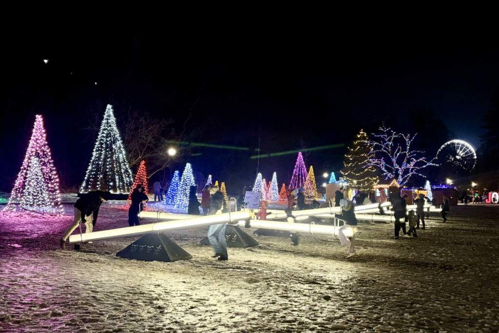 Niagara Falls Winter Attractions