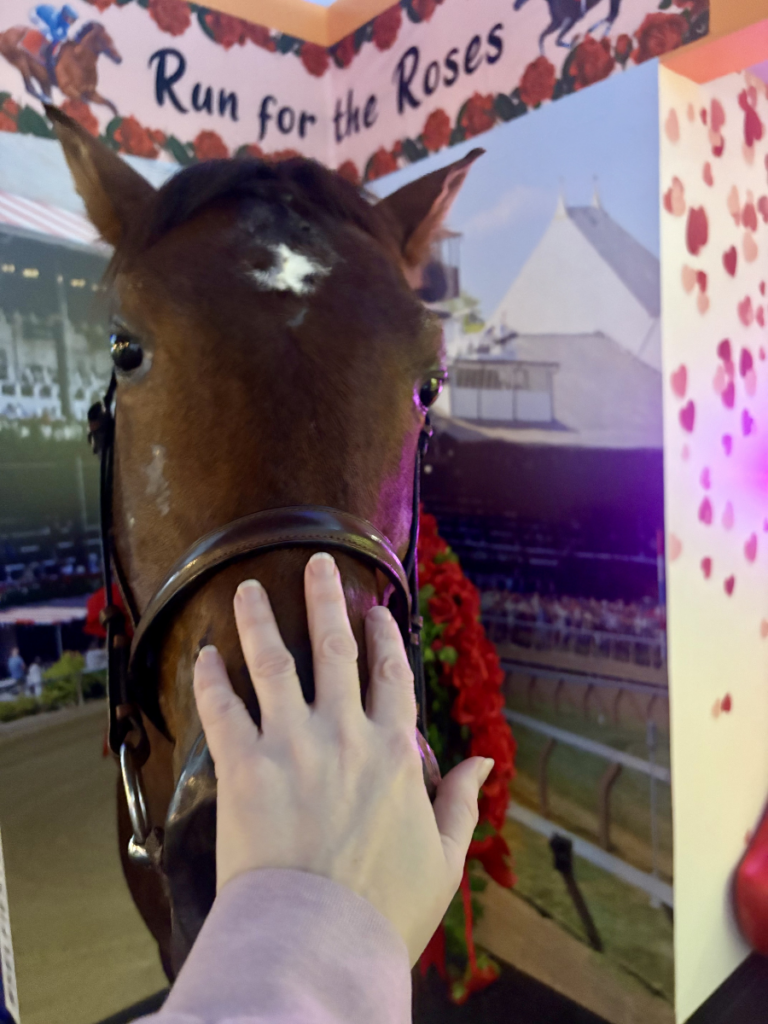 Realistic Horse at Ripley’s Selfie Studios