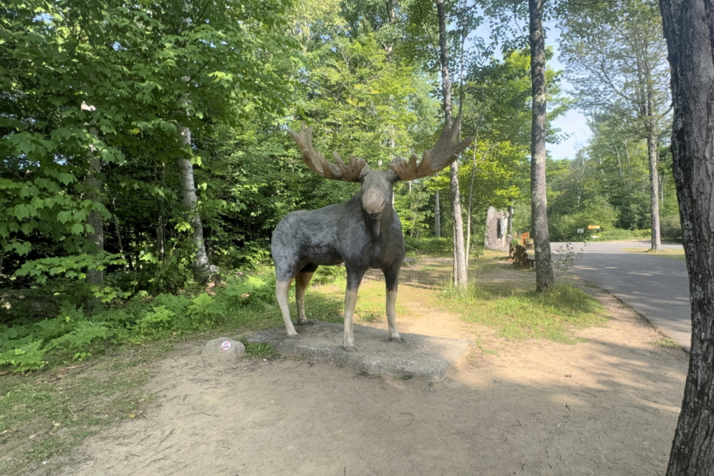 Canyon Sainte-Anne activities