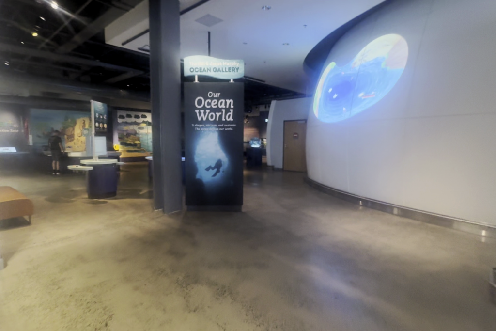 Ocean Gallery