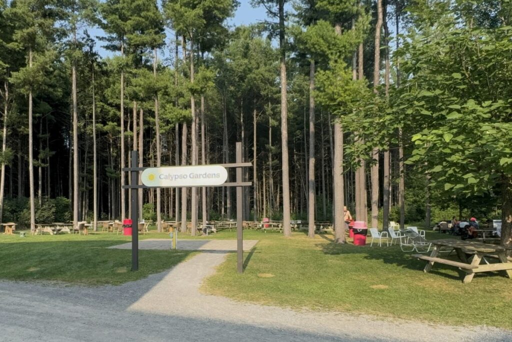 Calypso Waterpark Amenities